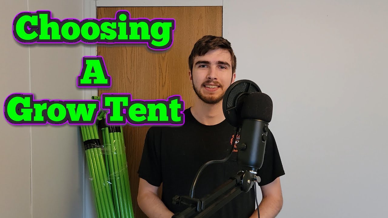 Understanding Grow Tents: A Simple Breakdown for Cannabis Cultivators