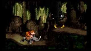 Donkey Kong Country: Manic Mincers