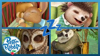 @OfficialPeterRabbit - 💤🌙 Sleepy Creatures 🌙💤 Do Not Disturb 🚫 | World Sleep Day | Cartoons for Kids