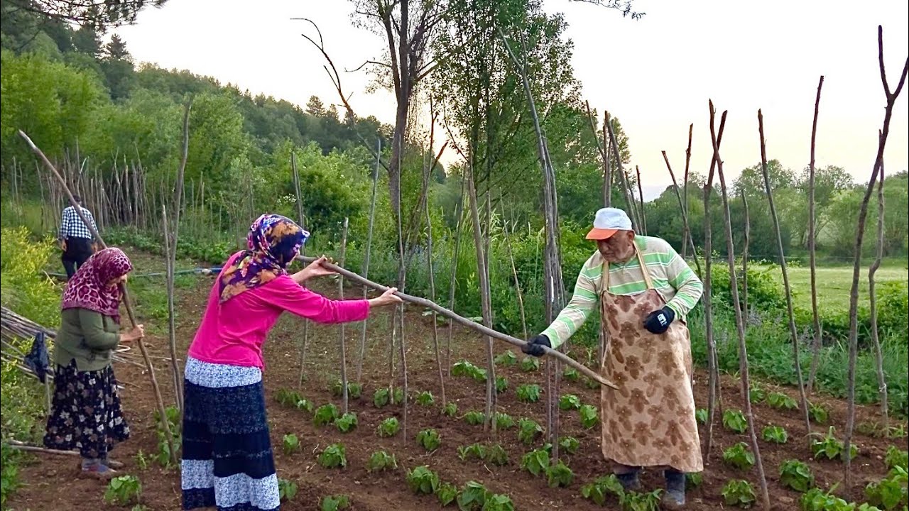 Жизнь большой семьи в горном селе. Деревенская жизнь. Документальный
