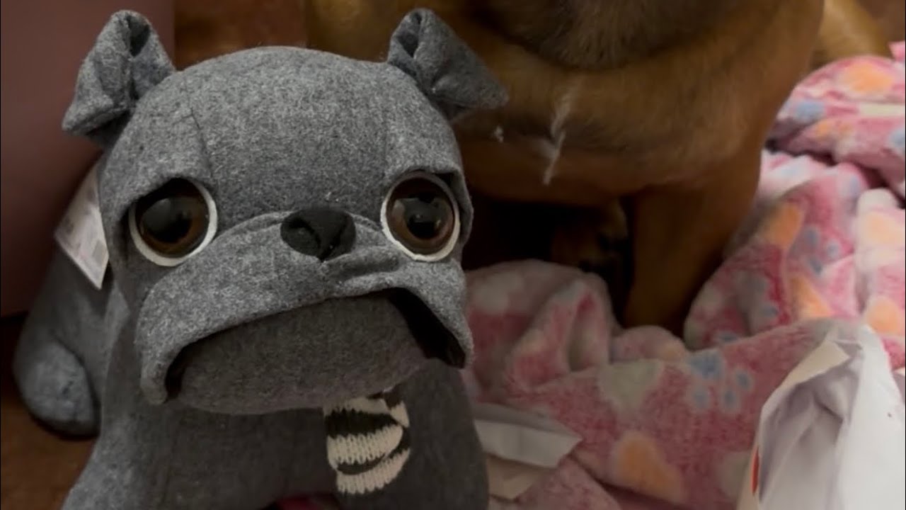 Apriamo i regali per la mamma 