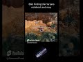 BG3 Hints and Tips |  Finding the Harpers Notebook and Map