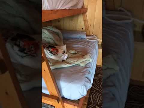 Sturgis RV Campground cabins - YouTube