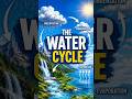 HOW RAIN IS MADE I WATER CYCLE!