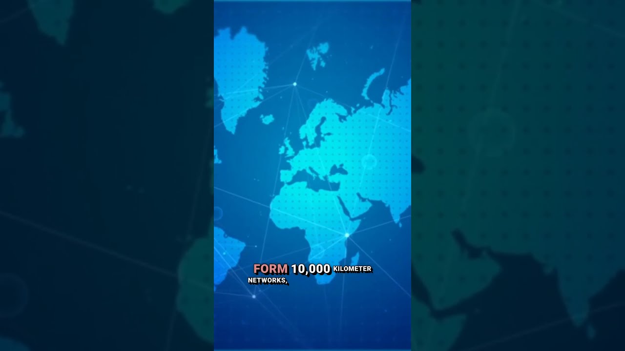 Ant Super Colonies 2025 Insect Empires Facts Ants