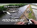 水路の壁際にルアー投げたらビックリ！【ベイトボールスピナーリグ 水中映像 バス釣り ナマズ釣り】