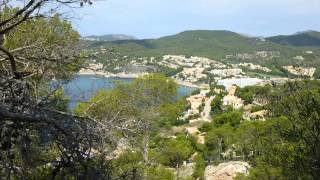Hotel Africamar in Can Picafort (Mallorca - Spanien) Bewertung