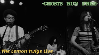 Ghosts Run Free - The Lemon Twigs (4K) (Raleigh, NC)