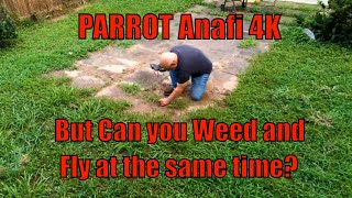 PARROT Anafi 4K But Can you Weed and Fly at the same time?