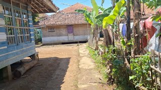 Terasa Nyaman Hidup Di Desa Yang Bersih || Real Life In Rural Indonesia