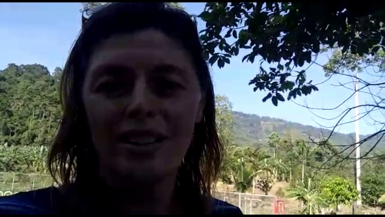 Отзыв о септике в гостинице с постоянным проживание 30 чел. Септик ...