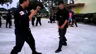 Chosun Ninja - Bird Stance