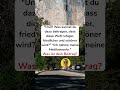 Weltfrieden Beitrag 🌍