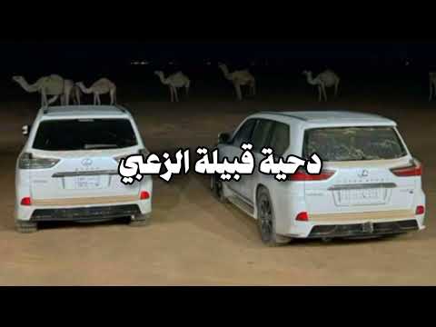 دحية وهجيني قبيلة الزعبي 2025