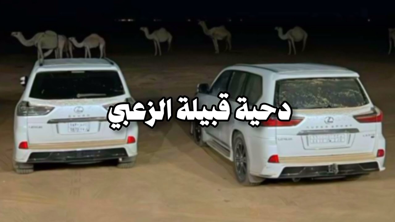 دحية وهجيني قبيلة الزعبي 2025