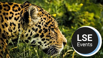 Investing in our future: COP30 and the sustainable growth agenda | LSE Event