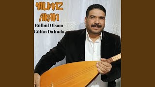 Bülbül Olsam Gülün Dalında