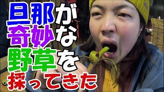 【検証】旦那が山菜を大量に採ってきた｜【初心者】味が凄くて自慢の丸顔がしわくちゃになりました