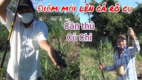 Câu Cá Rô Ngày Tết Tây, Cần Thủ Củ Chi Lên Cá Rô Cụ
