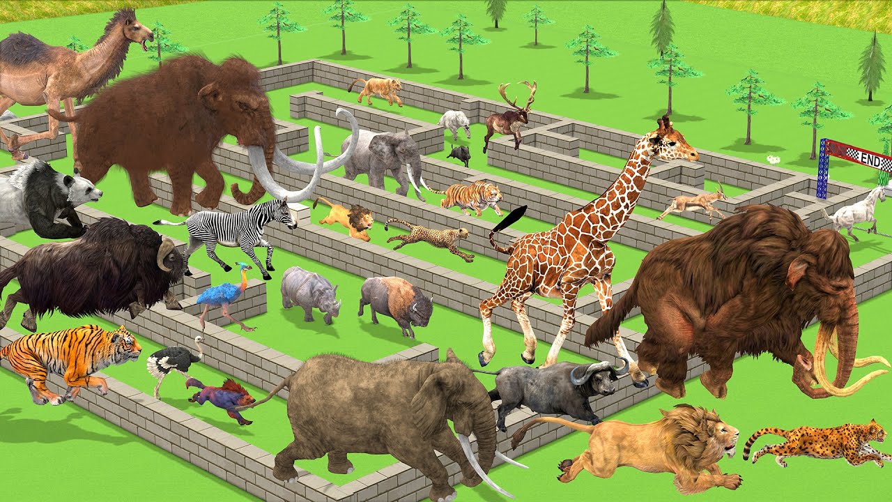 Maze Madness Race 23 Wild Animals Mammoth, Which is The Fastest Animal? Animal Revolt Battle Simulat