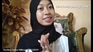 Why is Morphology Needed | Video Assignment for Morpho-Syntax Education.