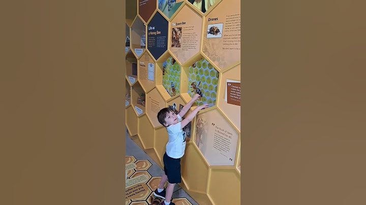Joaquin LEARNS about BEE'S!!! #bees #honey #colorado