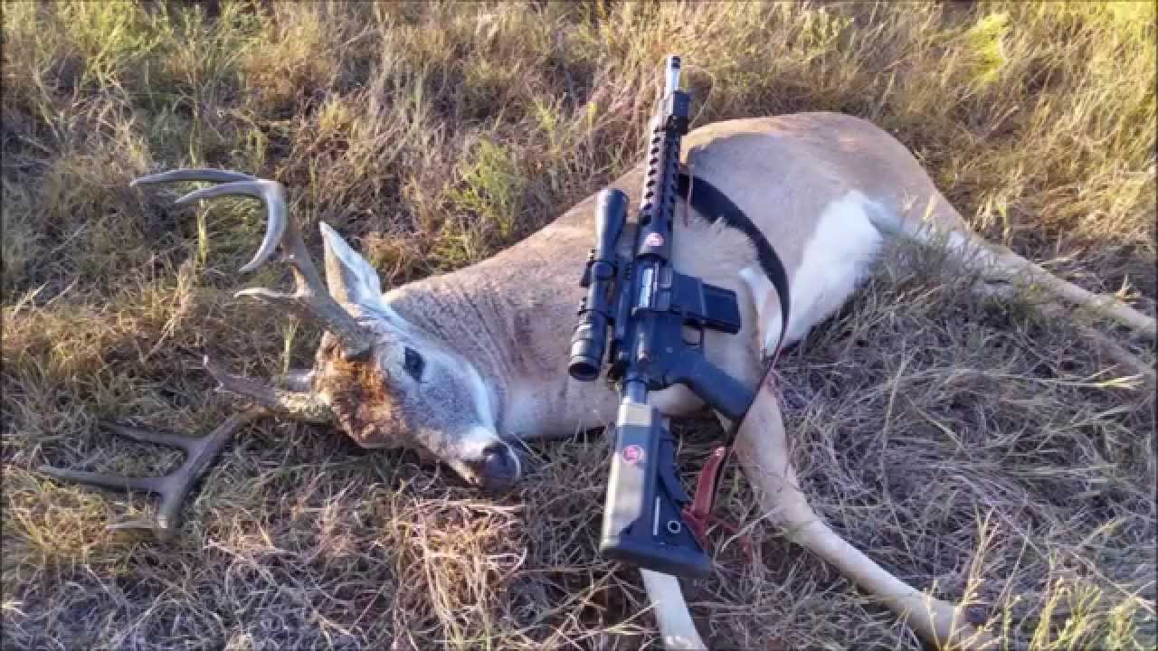 JP Enterprise 6.5 Grendel takes 11pt Buck YouTube