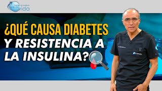 ¿Qué Causa Diabetes y Resistencia a la Insulina? 🔍🩸