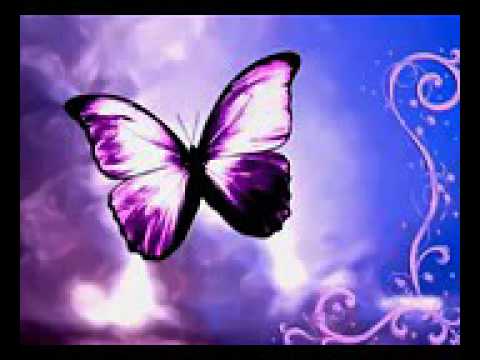 انشودة يما السجن ميس شلش