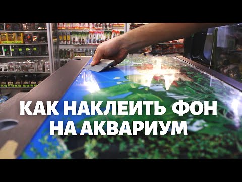 Как приклеить пленку на аквариум без пузырей в домашних условиях