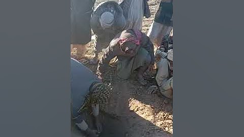 التنقيب عن الذهب بجهاز جي بي زد 7000 افضل جهاز لكشف الذهب في العالم