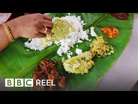Video: Traveler's Indian Food Guide efter region