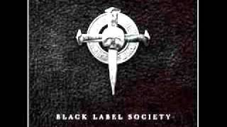 Video thumbnail of "Black label Society ~ Cant find my way home"