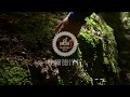 DODD 杜爾德洋行 金萱烏龍茶 真空包茶葉禮盒組(4兩X2包) product youtube thumbnail