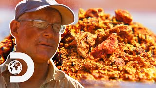 Extra Dry-Blower Helps Find More Gold! | Aussie Gold Hunters