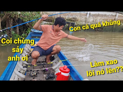 Video Cá ngát khủng sông Hậu. Run mình với con cá này | Săn... - youtube