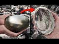 वैज्ञानिक भी है हैरान इन खोजों से || 10 Biggest Recent Discoveries!