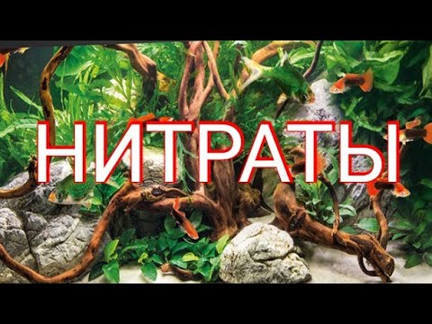 Видео: Как уменьшить содержание нитратов в аквариуме