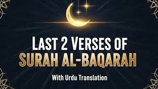 Surah Baqarah Last 2 Ayats Recitation | Hamza Boudib Tilawat with Urdu Translation