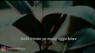 Saiki Tresnoku Yo Mung Nggo Kowe -Story WA- Lyric Video