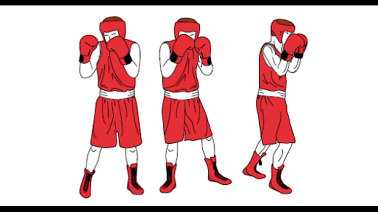 Estrategias y fundamentos de los deportes de combate