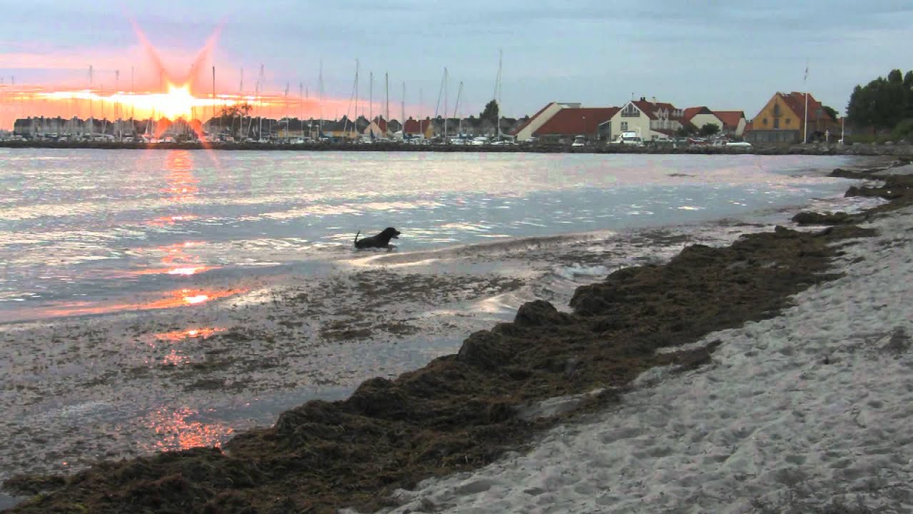 Karrebæksminde 2010