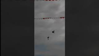 Aksi Cakra Bumi Sebelum Di Take Over Team Elit viral viral viralreels  fyp merpati