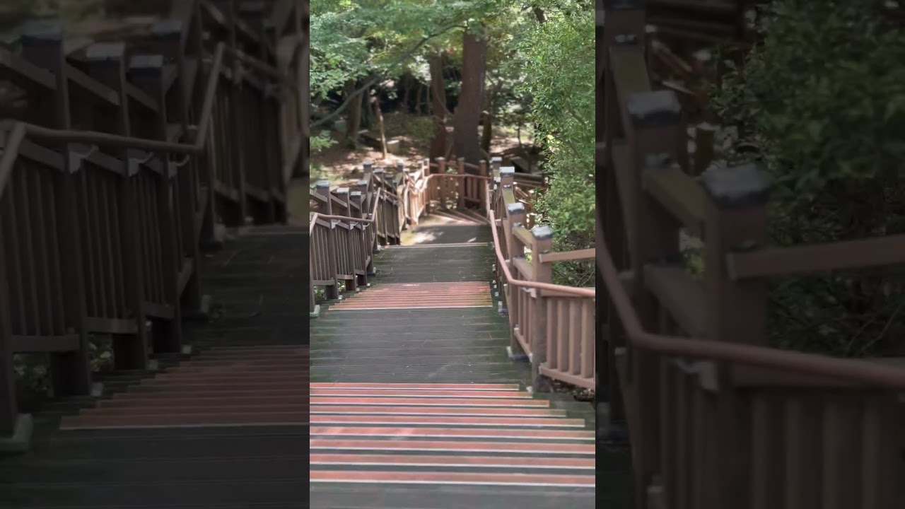 Reason of South Korean have smart belly 🤣🤣🤣