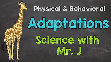What are Adaptations? | Physical Adaptations & Behavioral Adaptations