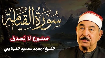 سورة القيامة بصوت يزلزل القلوب | تلاوة نادرة وخاشعة للشيخ محمد محمود الطبلاوي 🕊️