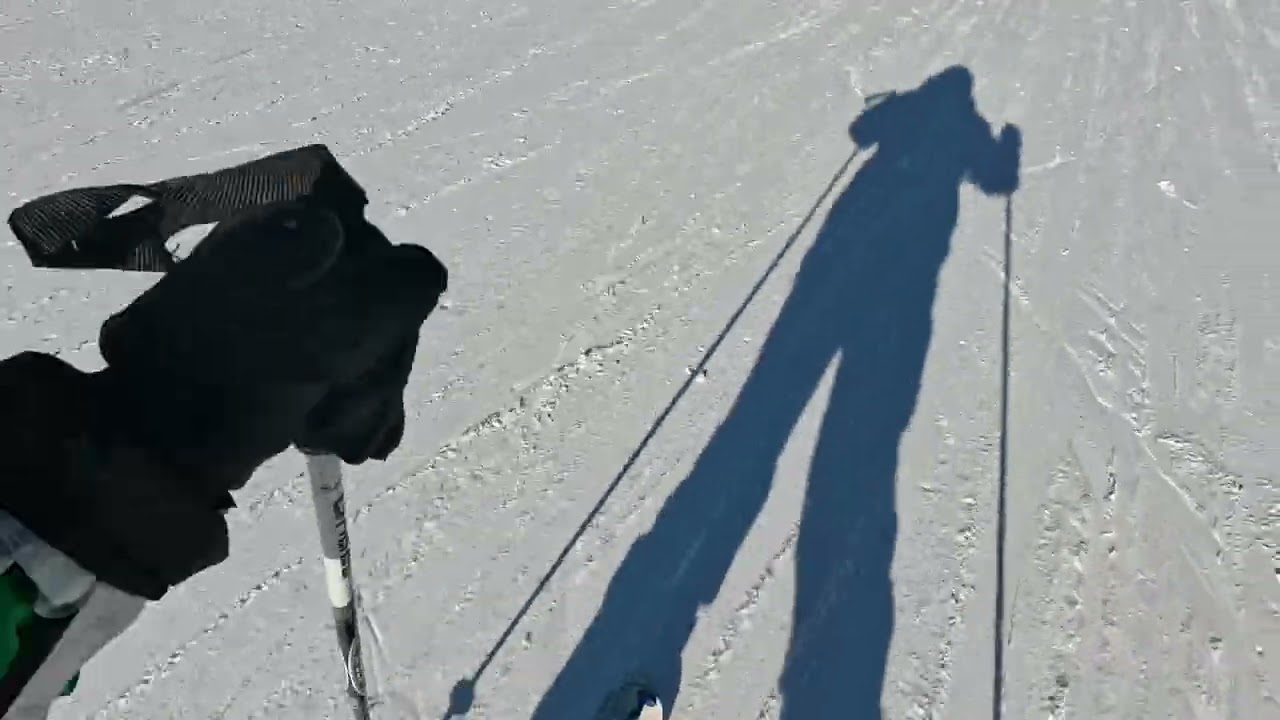 Sauze D'Oulx - Pista 51