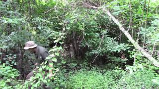 Celebrity Camouflage And Concealment In Various Environments Wealth