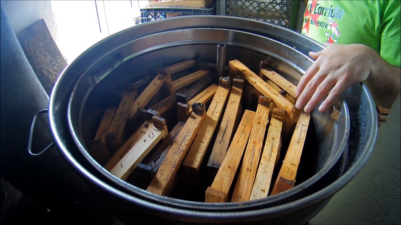 Cera de Abelha Normal vs Cera de Opérculos