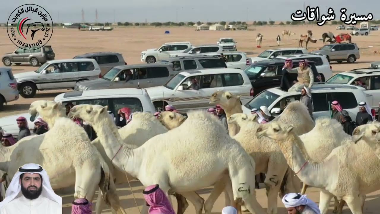 مسيرة ( شواقات ) محمد باتل بن شوق الأول في شوط بيرق الوضح في مزاين قبائل الكويت 2023/11/24